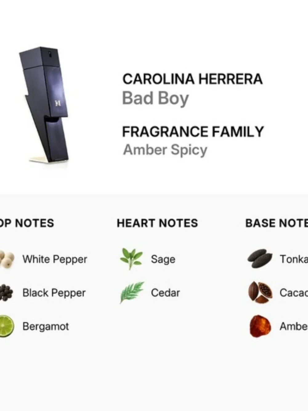 Carolina Herrera Bad Boy EDT,Oriental Spicy Woody-Travel 10ml,0.34oz-BOXED-NEW
